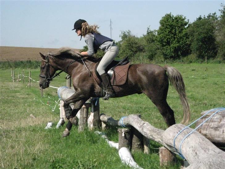 Søborggård Ridelejr Uge 32 billede 348