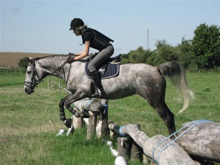 Søborggård Ridelejr Uge 32 billede 351