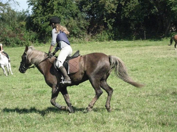 Søborggård Ridelejr Uge 32 billede 353