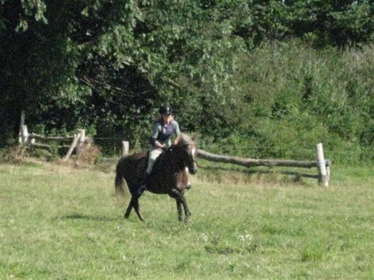 Søborggård Ridelejr Uge 32 billede 354