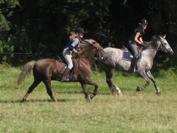 Søborggård Ridelejr Uge 32 billede 356