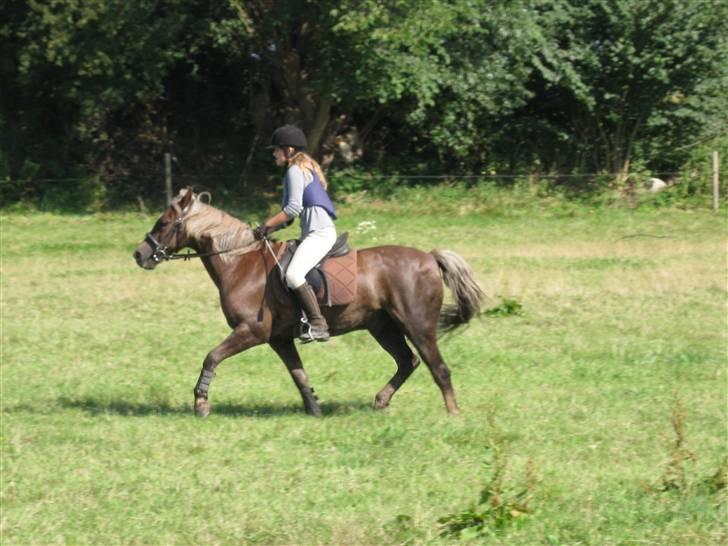 Søborggård Ridelejr Uge 32 billede 357