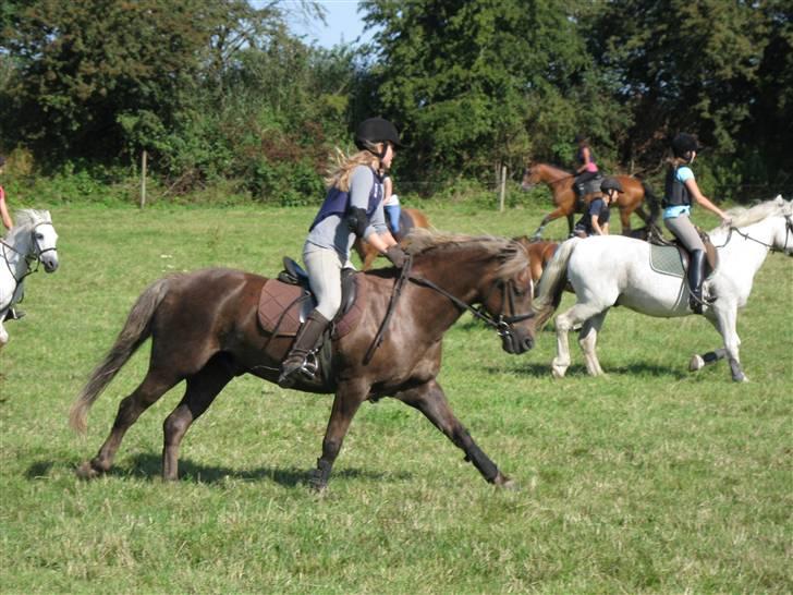 Søborggård Ridelejr Uge 32 billede 359