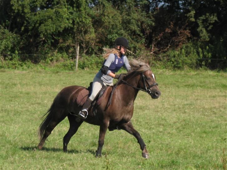 Søborggård Ridelejr Uge 32 billede 361