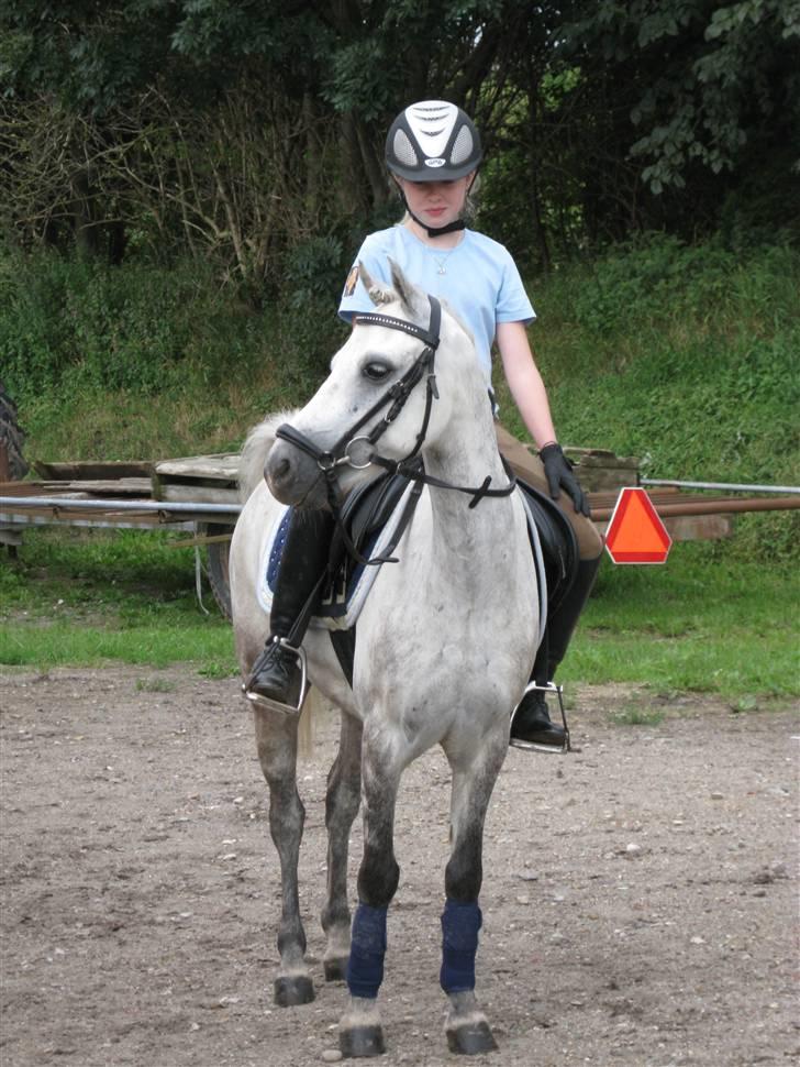 Søborggård Ridelejr Uge 32 billede 365