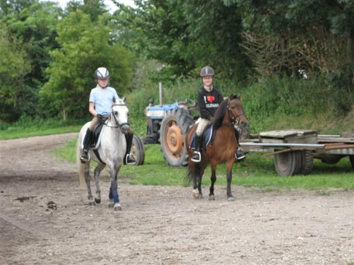 Søborggård Ridelejr Uge 32 billede 366