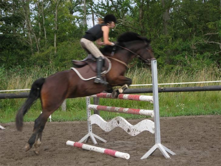 Søborggård Ridelejr Uge 32 billede 367