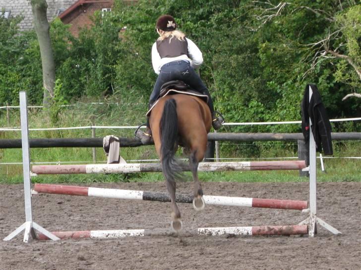 Søborggård Ridelejr Uge 32 billede 368