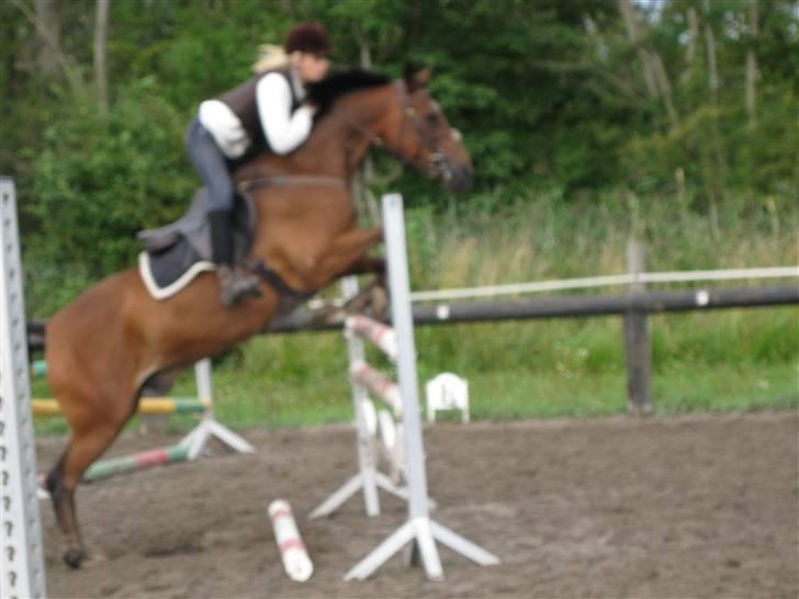 Søborggård Ridelejr Uge 32 billede 369