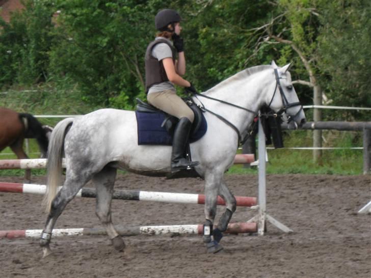 Søborggård Ridelejr Uge 32 billede 370