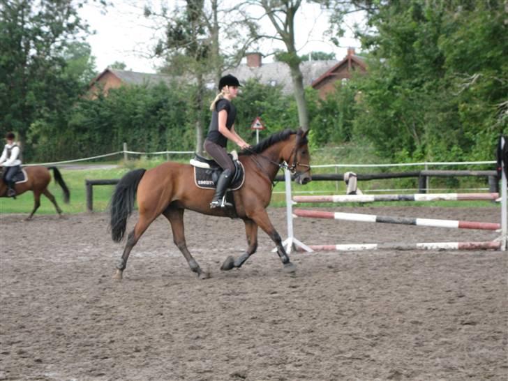 Søborggård Ridelejr Uge 32 billede 371