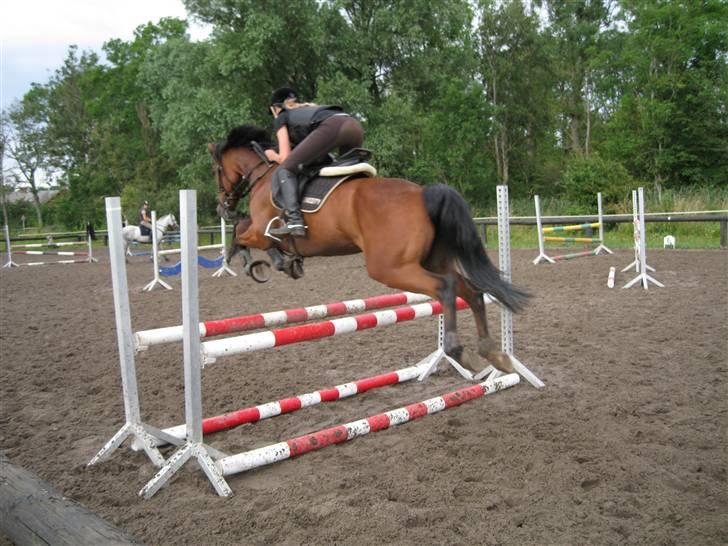 Søborggård Ridelejr Uge 32 billede 372