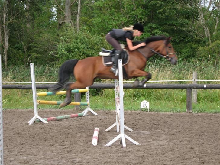 Søborggård Ridelejr Uge 32 billede 373