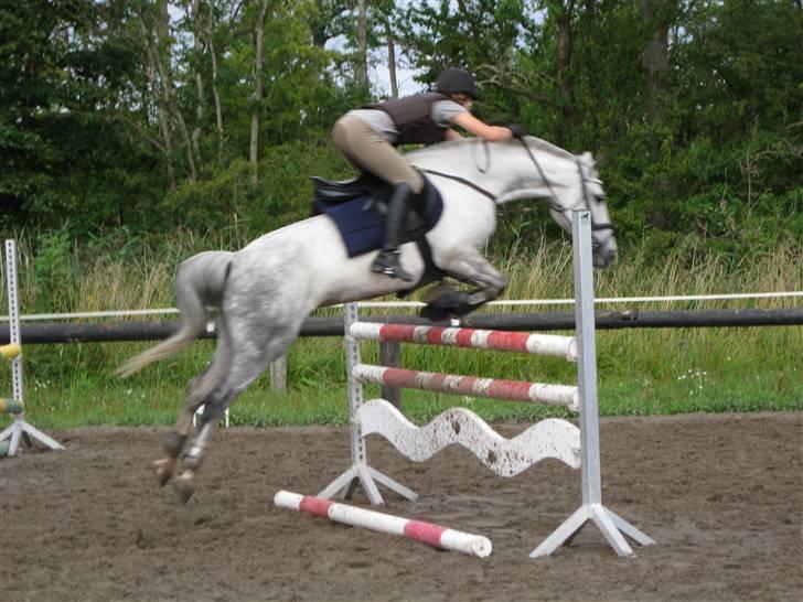 Søborggård Ridelejr Uge 32 billede 374