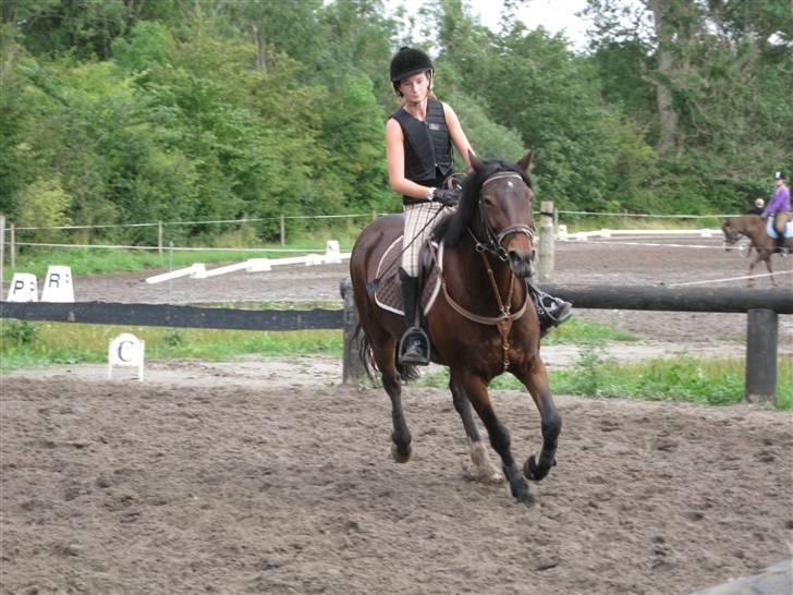 Søborggård Ridelejr Uge 32 billede 375