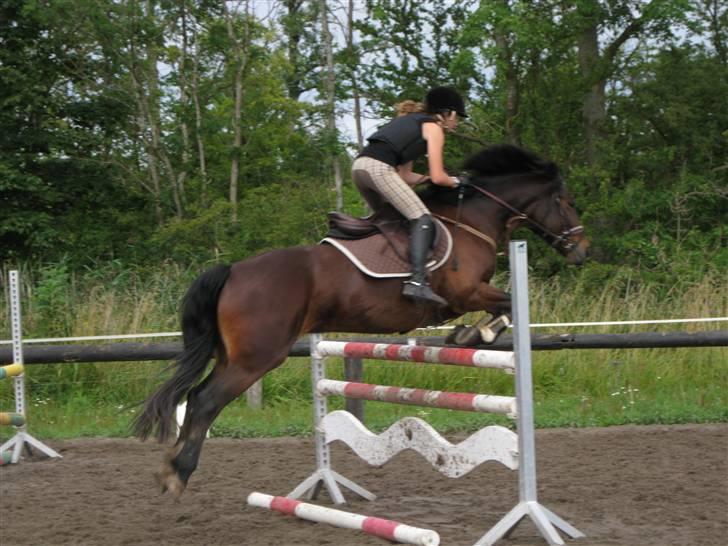 Søborggård Ridelejr Uge 32 billede 376