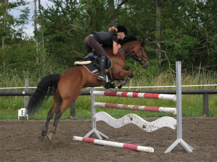 Søborggård Ridelejr Uge 32 billede 378