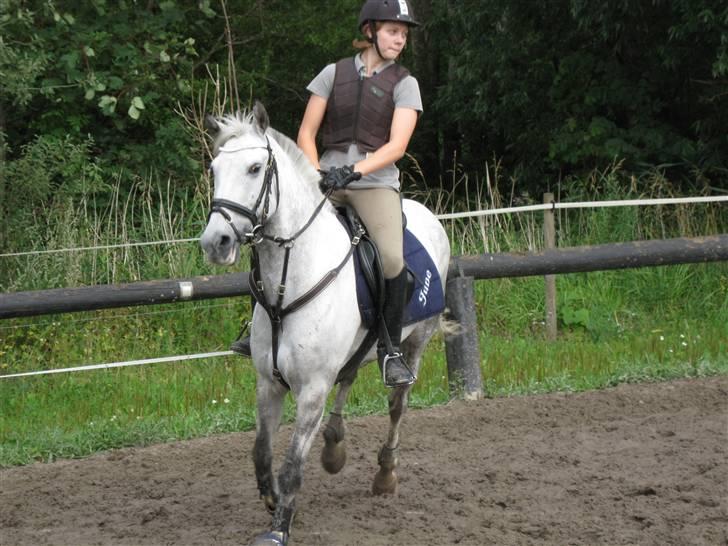 Søborggård Ridelejr Uge 32 billede 380