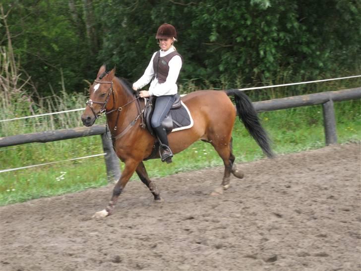 Søborggård Ridelejr Uge 32 billede 384