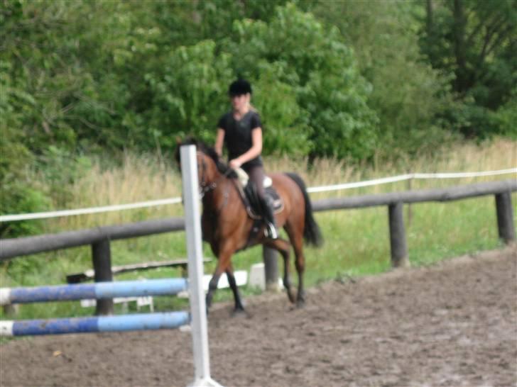 Søborggård Ridelejr Uge 32 billede 386