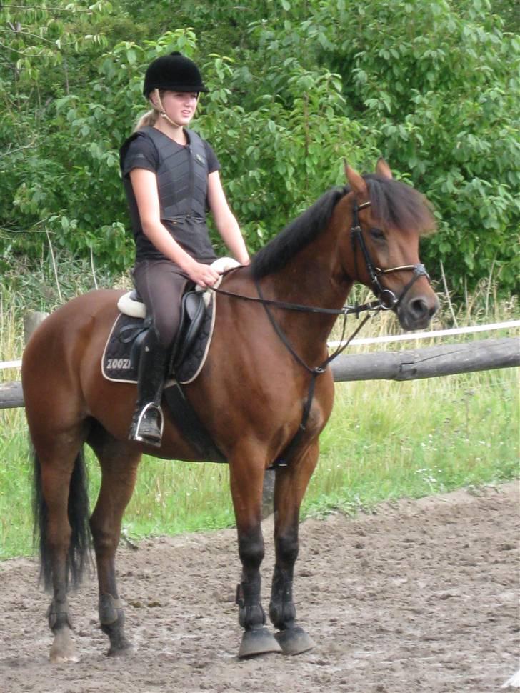 Søborggård Ridelejr Uge 32 billede 388