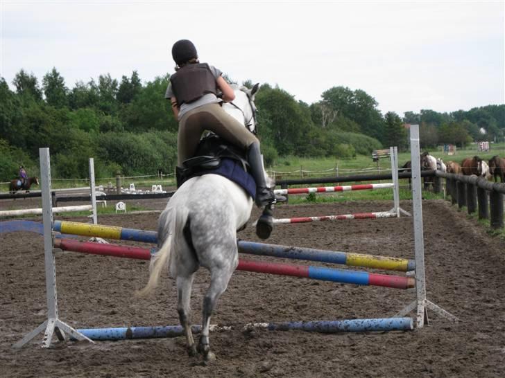 Søborggård Ridelejr Uge 32 billede 389