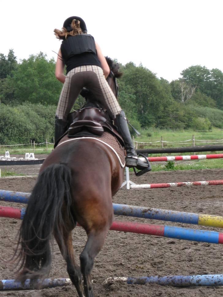 Søborggård Ridelejr Uge 32 billede 390