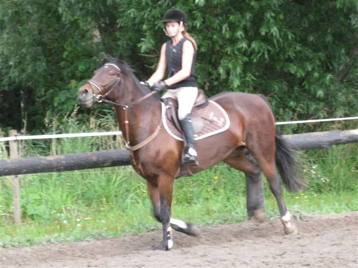 Søborggård Ridelejr Uge 32 billede 391