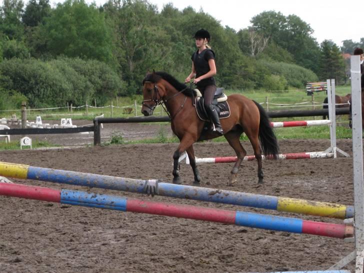 Søborggård Ridelejr Uge 32 billede 392