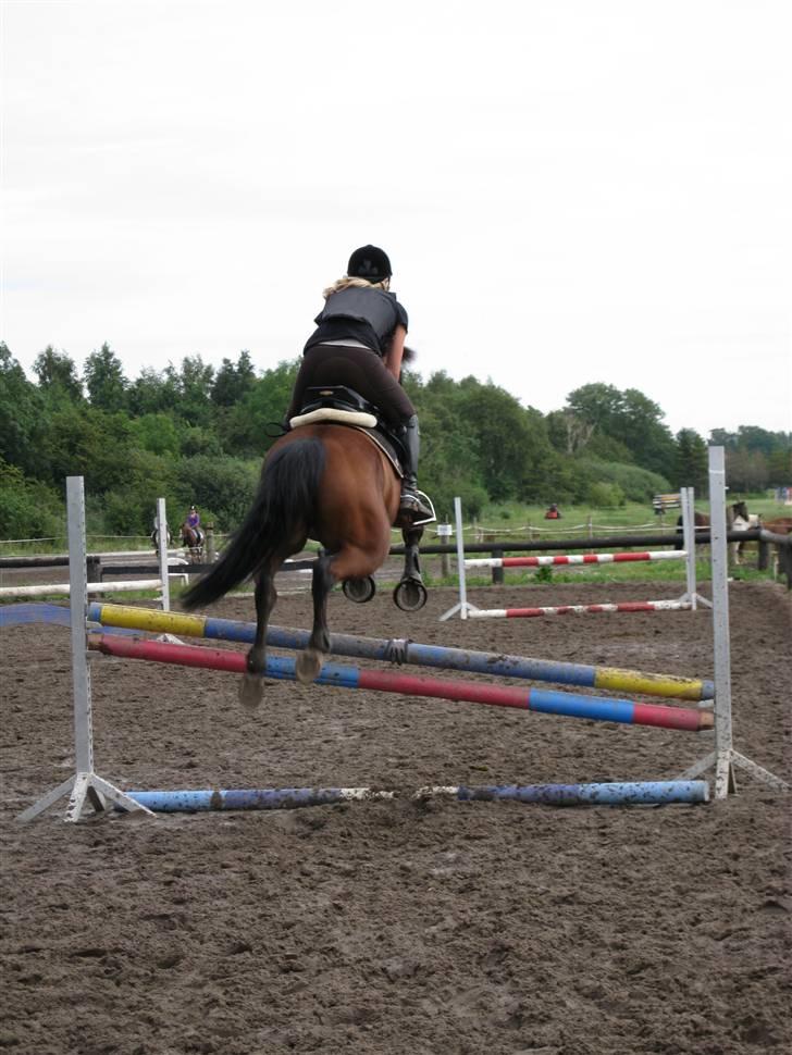 Søborggård Ridelejr Uge 32 billede 394