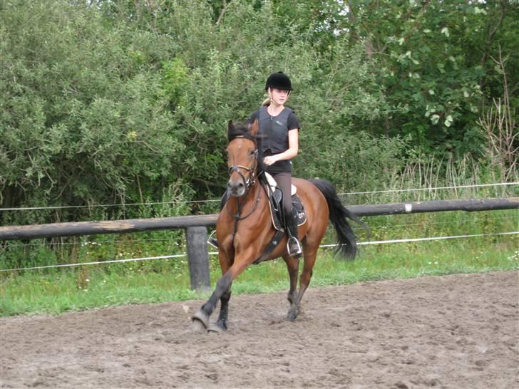 Søborggård Ridelejr Uge 32 billede 395