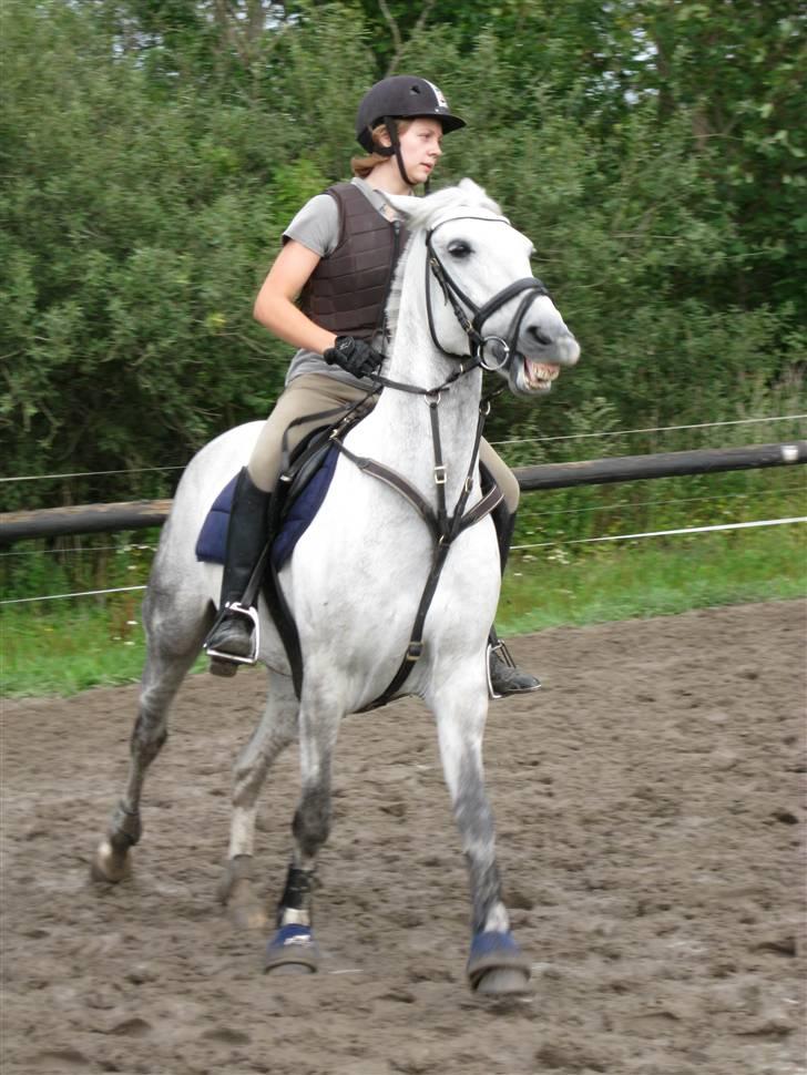 Søborggård Ridelejr Uge 32 billede 396