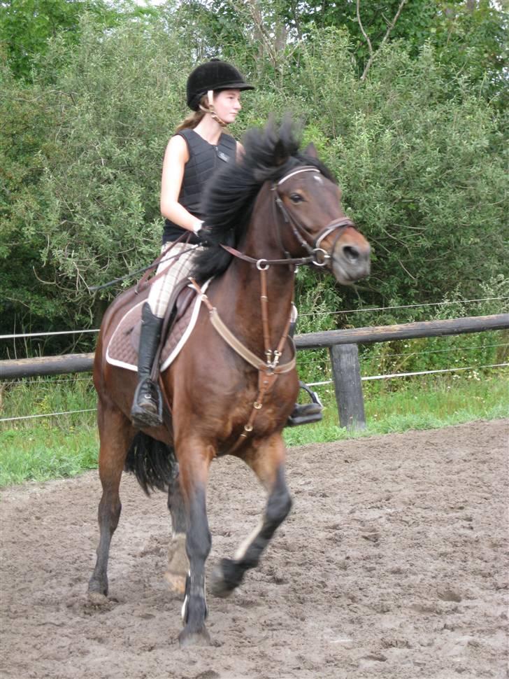 Søborggård Ridelejr Uge 32 billede 397