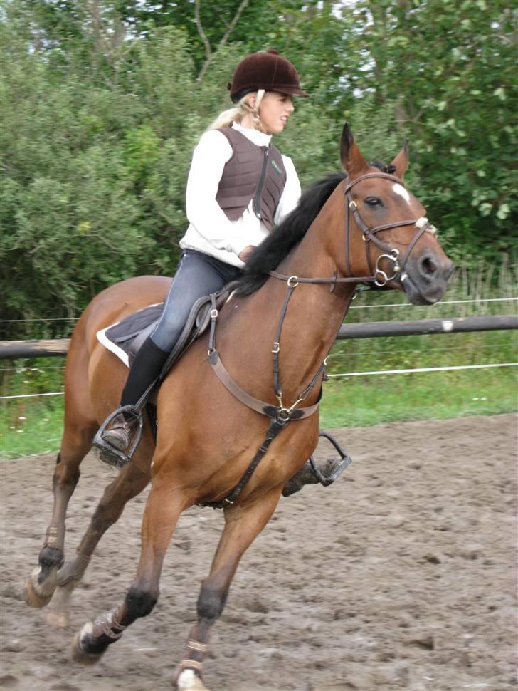 Søborggård Ridelejr Uge 32 billede 398