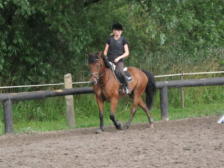 Søborggård Ridelejr Uge 32 billede 400