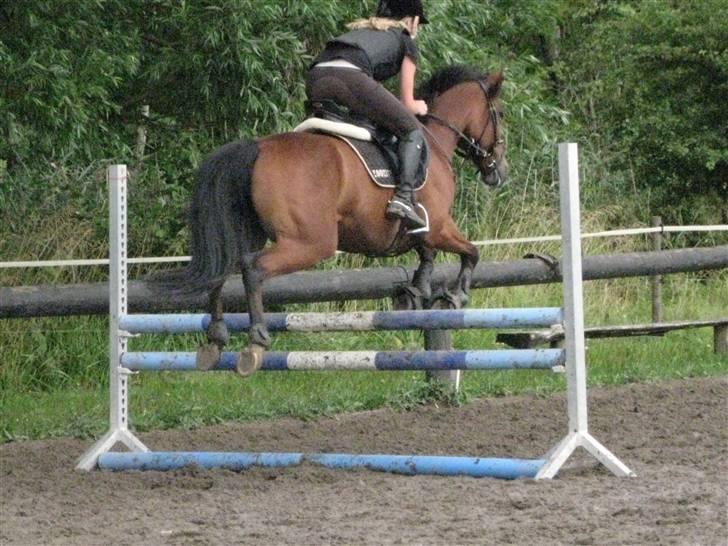 Søborggård Ridelejr Uge 32 billede 403