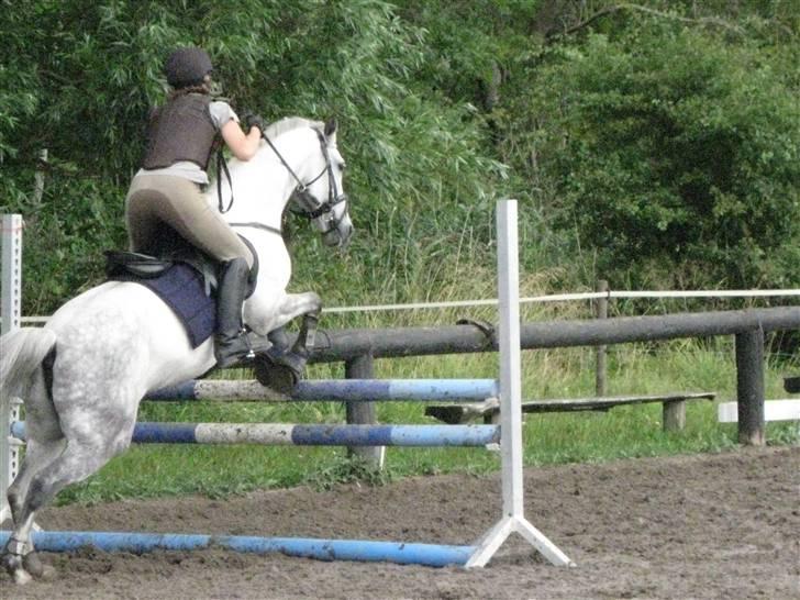 Søborggård Ridelejr Uge 32 billede 404