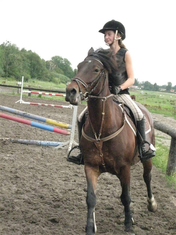 Søborggård Ridelejr Uge 32 billede 405