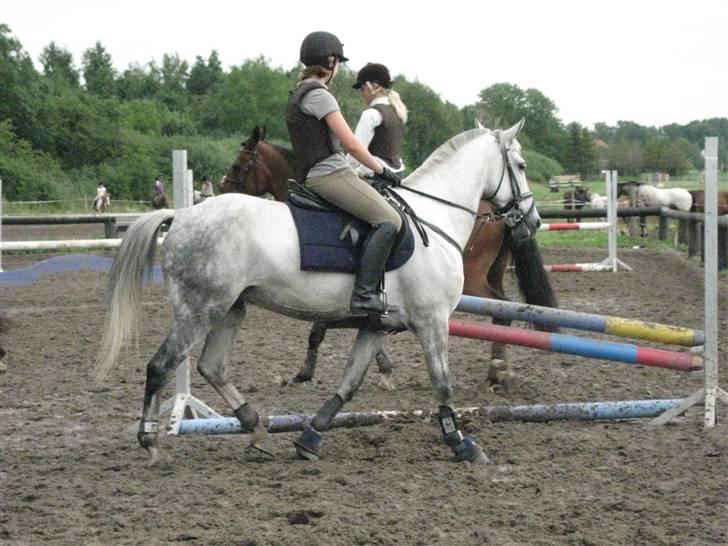 Søborggård Ridelejr Uge 32 billede 406