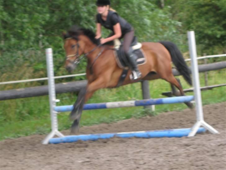 Søborggård Ridelejr Uge 32 billede 407