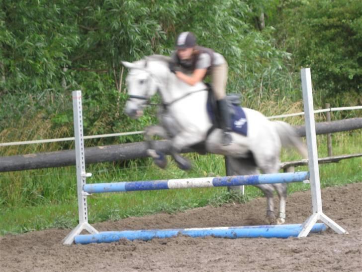 Søborggård Ridelejr Uge 32 billede 408