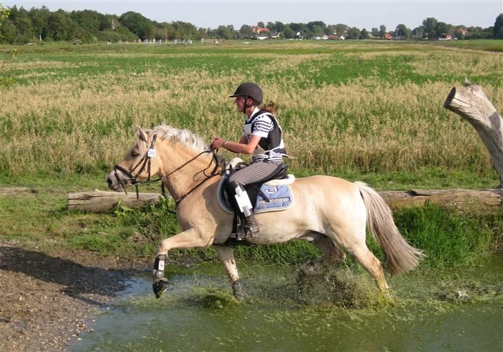 Søborggård Ridelejr Uge 32 billede 1