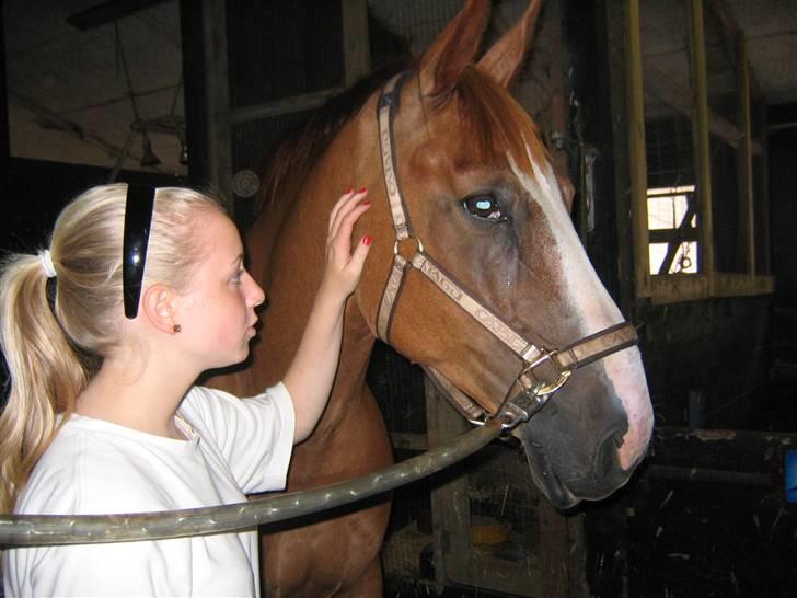 Hestene fra Exmoor (:  - Valdemar - Privat billede 15