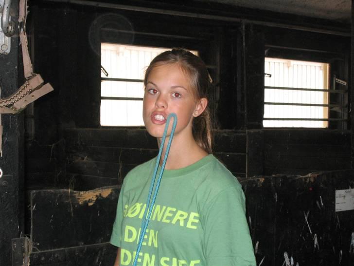 Hestene fra Exmoor (:  - Rosa ;b billede 16