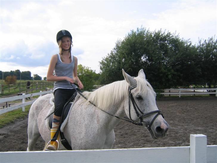 Hestene fra Exmoor (:  - Cigurd & Caroline - Privat billede 21
