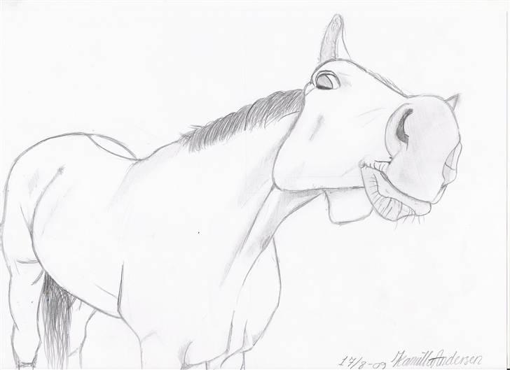 Tegninger af heste og venner - Calli Callli Ejer: Stefanie H. billede 1