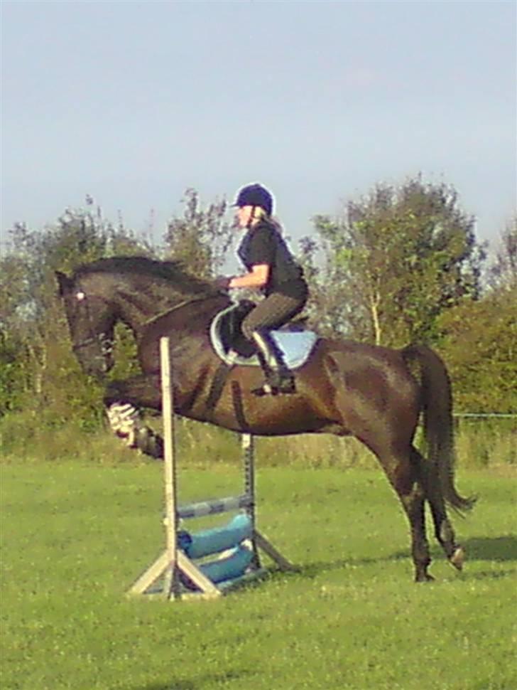 Spring træning på orkk billede 1