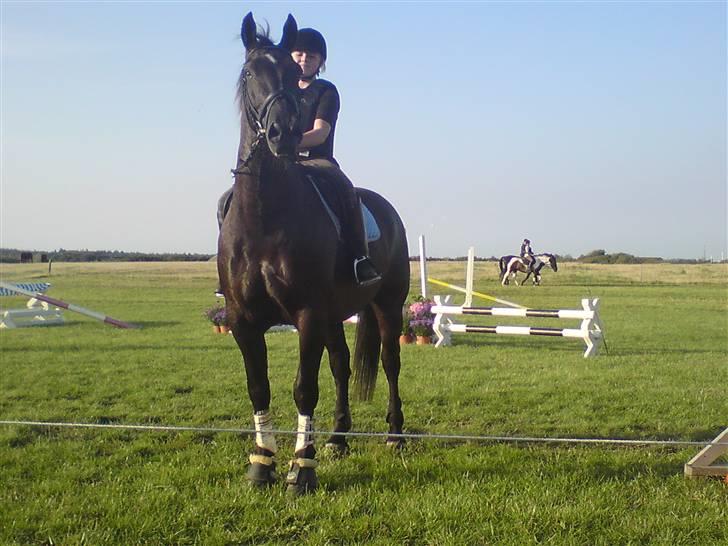 Spring træning på orkk billede 2