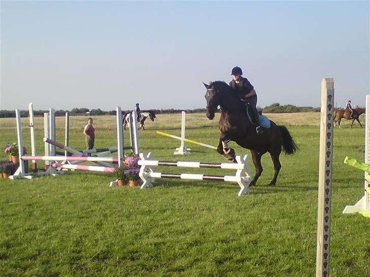 Spring træning på orkk billede 3