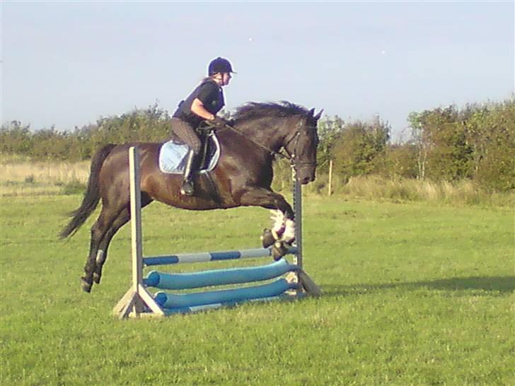 Spring træning på orkk billede 4